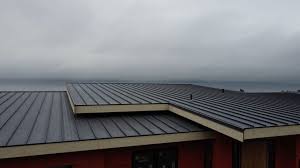 Fast & Reliable Emergency Roof Repairs in Lennox, CA